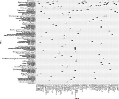Breast Cancer Subtypes Based on Hypoxia-Related Gene Sets Identify Potential Therapeutic Agents